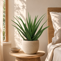Künstliche Aloe Vera mit Echtem Aussehen, 70cm PE-Material, UV-Beständig, Umweltfreundlich, für Geburtstag, Landschaftsgestaltung, Ostern und Zuhause