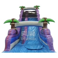 Toboggan gonflable de surf de 20 pieds avec piscine amovible en PVC, usage commercial extérieur