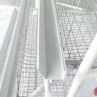 Cage à poules pondeuses de type A, équipement de batterie avicole galvanisé à chaud, poulaillers 3/4 niveaux pour l'élevage