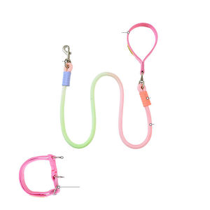 Correa de Nailon Trenzada para Perro con Mango Ajustable y Costuras Reflectantes - Product Image 1