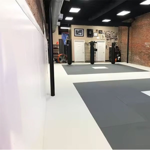 Rembourrage mural de salle de sport directement de l'usine, rembourrage personnalisé pour salle de taekwondo - Product Image 4