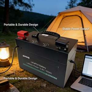 Ветро- и влагостойкий литий-железо-фосфатный аккумулятор 12,8 В 100 Ач для автодомов, с BMS, настраиваемое напряжение/емкость - Product Image 3