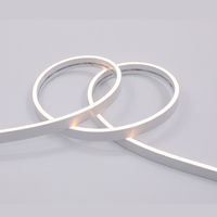 Bandes lumineuses LED néon flexibles en silicone IP67 4*10mm, bande lumineuse FCOB, enseigne néon personnalisée pour la publicité
