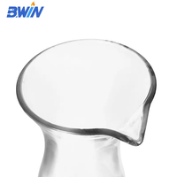 Carafe en polycarbonate personnalisable de 28 cm, verre à fête moderne transparent pour le vin et le jus, fabriqué en plastique durable
