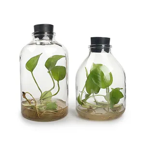 空透明650毫升850毫升小嘴玻璃植物组织培养瓶，可重复使用盖