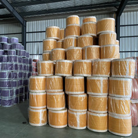 54*87cm Raschel-Netzbeutel-Rolle HDPE Gemüse-Netzbeutel-Rollen Zwiebel-Kartoffel Automatische Verpackungsbeutel in Rollen