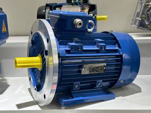มอเตอร์เกียร์ไฟฟ้าเหนี่ยวนำสามเฟสแบบอะซิงโครนัส MS100L1-4 2.2 กิโลวัตต์ 3 แรงม้า 1460 รอบต่อนาที ความเร็วรอบต่ำ - Product Image 6
