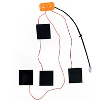 Élément chauffant 12v Élément chauffant alimenté par batterie 5v Petit élément chauffant alimenté par batterie pour réchauffeur de nourriture