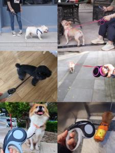 Corda di cotone Pet Eco-Friendly Personalizzato Interattivo Indistruttibile di Masticazione Del Cane Giocattolo - Product Image 6