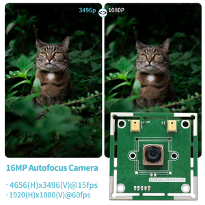 ミニ16MP CMOSセンサーAI <span class=keywords><strong>CCTV</strong></span>高解像度オートフォーカスファイルスキャンUVC USB 2.0カメラモジュール（高速小型カメラ用） - Product Image 5