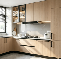Meubles de cuisine modulaires de luxe italiens populaires aux États-Unis avec éclairage LED intégré, unité de cuisine complète pour condo