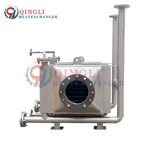 Famous Brand Stainless Steel High Temperature Flue Gas Economizer Price