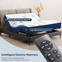 Matelas de lit massant électrique automatique réglable Split King, matelas de luxe inclinable sur mesure, matelas électrique fourni par l'usine
