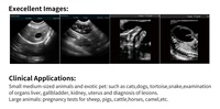 Échographe vétérinaire portable rechargeable multi-animaux pour l'élevage en ferme et le contrôle de la gestation, certifié CE, garantie 1 an