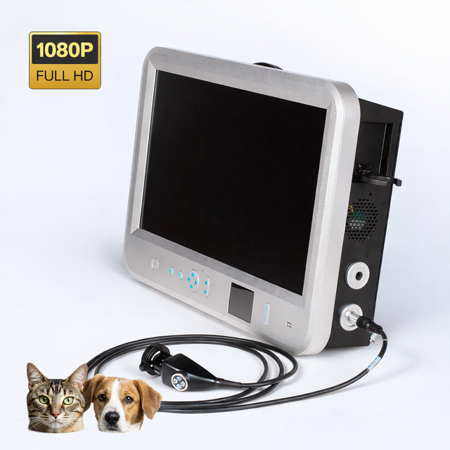 Integrated 1080P Animal Endoscope Camera System with HDMI Output for Arthroscopy Examination, 22 Inch Built-In LCD Screen