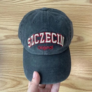 Gorra de Béisbol de Algodón Ajustable de Alta Calidad, Diseño Personalizado para Adultos, Impermeable, Deportiva, con Logotipo Bordado con Patrón de Frutas - Product Image 5