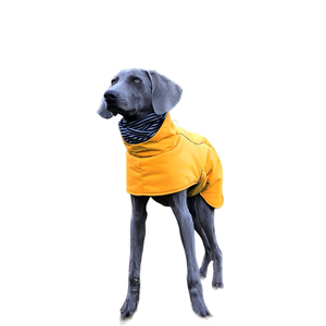 Chaqueta impermeable Whippets <span class=keywords><strong>Ropa</strong></span> de galgos italianos Cuello alto <span class=keywords><strong>Ropa</strong></span> de perro de raza grande - Product Image 1