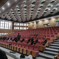 Chaises de théâtre empilables rembourrées en bois à pieds mobiles, chaises d'auditorium, mobilier scolaire, vente en gros