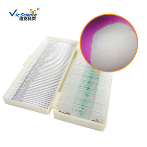 Suministro directo de fábrica de preparaciones biológicas para la educación superior, escuelas de medicina, institutos de investigación y preparaciones arteriales animales. - Product Image 2