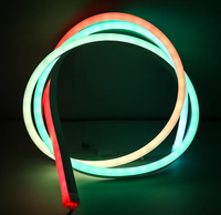 Luz LED de neón de silicona personalizada de alto brillo IP68, tira de luz RGB Flexible para pared de suelo para paisajes interiores y exteriores