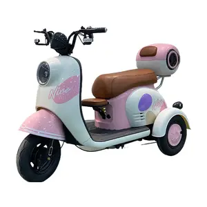 Peerless 2018 Adult 3 Wheel Scooter Electric Trike Electric Tricycle With Baby Seat