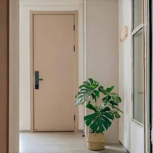 Gain d'espace Service en stock entrepreneur de construction appartement projet sortie d'incendie porte en acier fournisseur Chine - Product Image 6