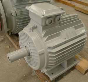 Générateur éolien à aimant permanent triphasé AC PMG Hydro PMA 1KW 2KW 3KW 5KW 7KW 8KW 10KW - Product Image 3