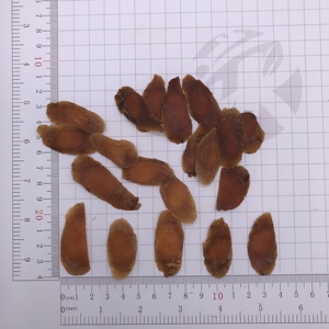 Radice di <span class=keywords><strong>Ginseng</strong></span> Rosso Coreano Panax di Alta Qualità, Erbe Cinesi Hong Shen, Vendita all'Ingrosso in Fette di Tutte le Dimensioni - Product Image 3