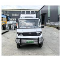 Camionnette électrique à 4 roues avec système de levage hydraulique, pneus tout-terrain, moteur 2000W, autonomie 301-400 km, petit véhicule électrique