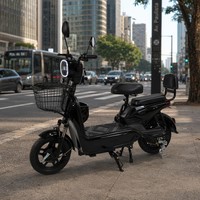 Bicicleta Eléctrica Urbana de 48V 500W para Adultos, Bicicleta de 14 Pulgadas con Doble Suspensión, Batería de Plomo-Ácido, 3 Velocidades