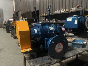 Souffleur à racines dédié au traitement des eaux usées de petite taille - Fournisseur d'usine et personnalisable - Product Image 4