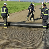 Géogrille biaxiale en plastique PP Nuolian, résistance à la traction de 15 à 60 KN, construction routière, mur de soutènement, pavage, garantie de 3 ans