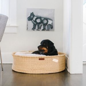 Camas para perros de mimbre al aire libre de lujo lindo lavado personalizado suave pequeña cama para mascotas para perro - Product Image 2