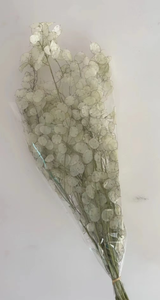 Flores Secas Lunaria Annua Naturales y Ecológicas, Hechas a Mano, de Larga Duración, Tendencia 2026, para Decoración del Hogar y Bebés - Product Image 2