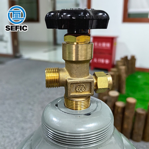 Cilindro de <span class=keywords><strong>CO2</strong></span> de Alta Presión, Cilindro de Gas <span class=keywords><strong>CO2</strong></span> para Cerveza con Capacidad de 2.7L, 3L y 13.4L - Product Image 3