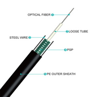 Cable de Fibra Óptica TTI GYXTW Monomodo de 4, 6, 8 y 48 Núcleos, Blindado, para Exteriores, Aéreo y Subterráneo, de Guangdong Telecom
