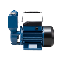 Pompes à eau électriques auto-amorçantes 1 CV pour le nettoyage et l'alimentation en eau, surpresseur domestique pour l'irrigation