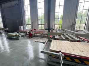 Machine à découper les chants de contreplaqué en vente chaude avec une grande capacité de production de 10 m3/h - Product Image 5