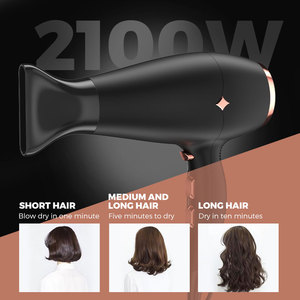 Secador de Pelo Profesional Mini Portátil con Soporte de Pared, Secador de Pelo de Iones Negativos para Salón - Product Image 2