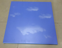 Clip en aluminium des tuiles de plafond de ciel bleu et de nuages blancs 600*600mm dans le plafond en aluminium