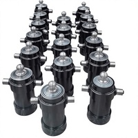 Vérin hydraulique en acier à simple effet avec roulement pour mini-dumper télécommandé, pression 250 bars, certifié CE