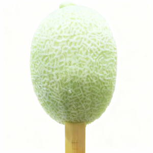 Toptan Viral Hindistan Cevizli Dondurma Meyve Şeklinde Çeyrek Kavun Dondurması Çubukları Egzotik Dondurucu 3D Tatlılar Atıştırmalıklar - Product Image 5