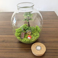 Vase en verre transparent, terrarium, pot de plantation avec couvercle en liège en bois et lumière LED pour plantes vertes, plantation, aquarium