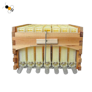 Ruche automatique à 7 cadres avec système de récolte de <span class=keywords><strong>miel</strong></span> à écoulement automatique - Product Image 3