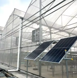 Solar IP68 BLDC Motor Wall <b>Fan</b> With Aluminum Blades for Livestock/Dairy Farm & Greenhouse Exhaust Ventilation System Air Ventila - Product Image 2