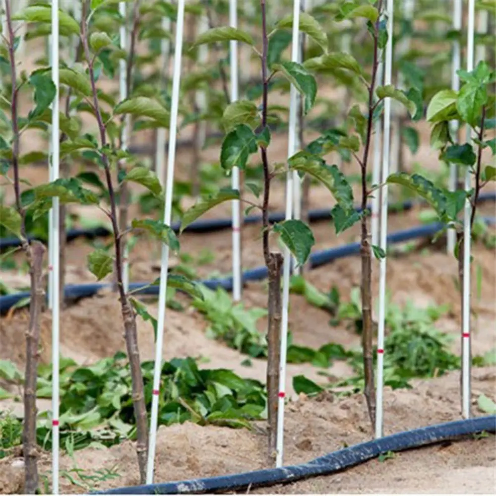 Poteau de vigne en fibre de verre populaire pour soutenir le raisin