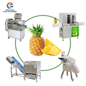 Dranken Verwerking Hoge Opbrengst Elektrisch Roestvrijstalen Sap Maken Machine Ananas Pers Extractiemachine Schroef Fruit Juicer