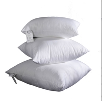 Vente en gros de coussin carré en coton blanc personnalisé confort canard oie insert de base technique de massage gonflable coussin tissé WS