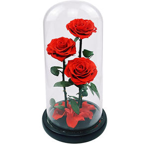 ดอกกุหลาบนิรันดร์ลดราคาพิเศษในโดมแก้ว สำหรับวันแม่ วันวาเลนไทน์ ของขวัญตกแต่งสุดหรู - Product Image 2