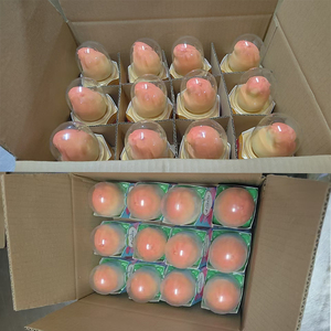 ไอศกรีมซอร์เบต์ฮาลาลขายส่ง รสเลมอน สตรอว์เบอร์รี พีช ขนมขบเคี้ยวสุดฮิต ไอศกรีมซอร์เบต์ - Product Image 6